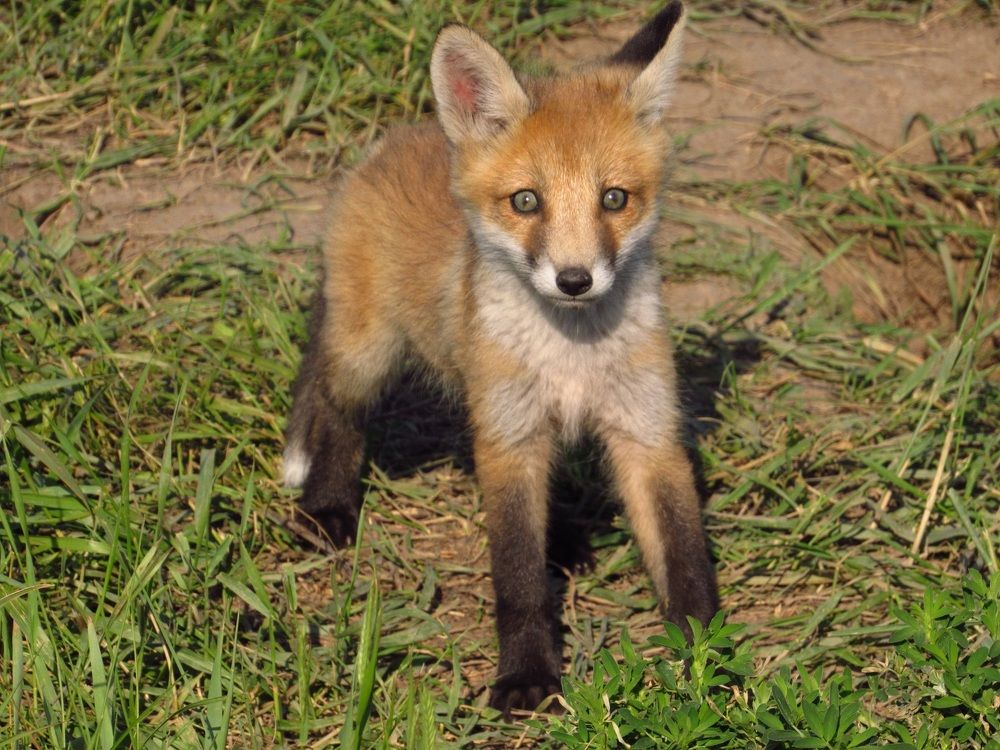 Photograph by Денис Веску