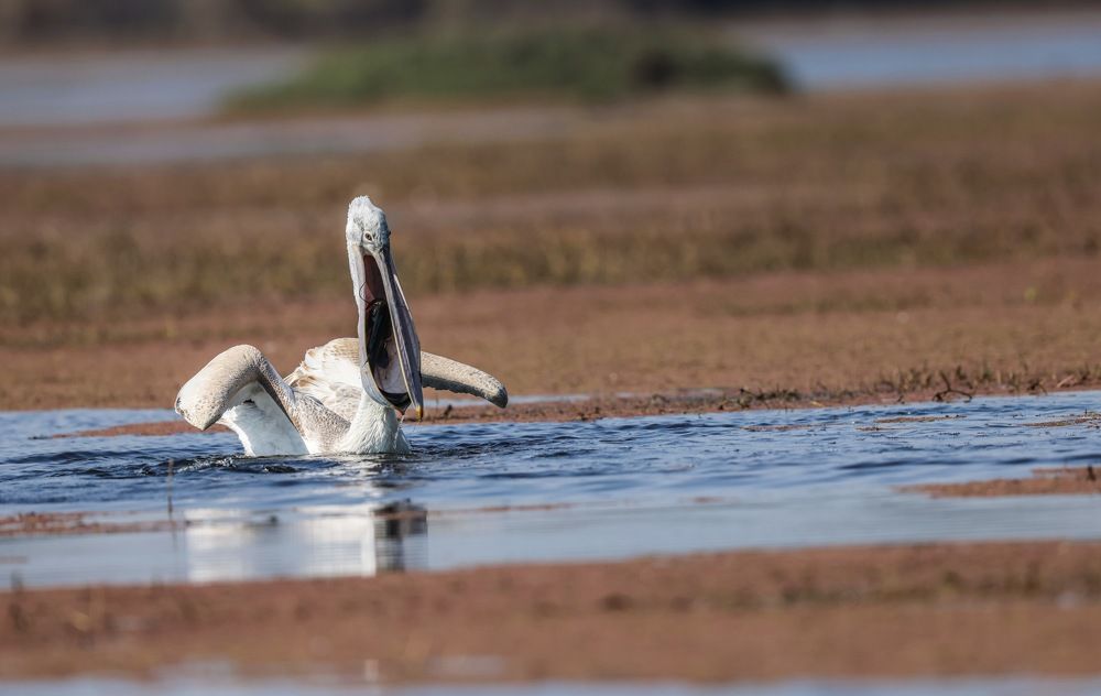Photograph by Nilesh Tandel