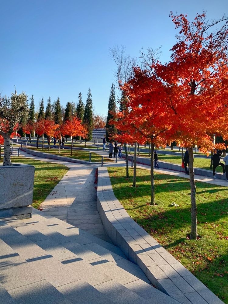 Photograph by Татьяна Семёнова