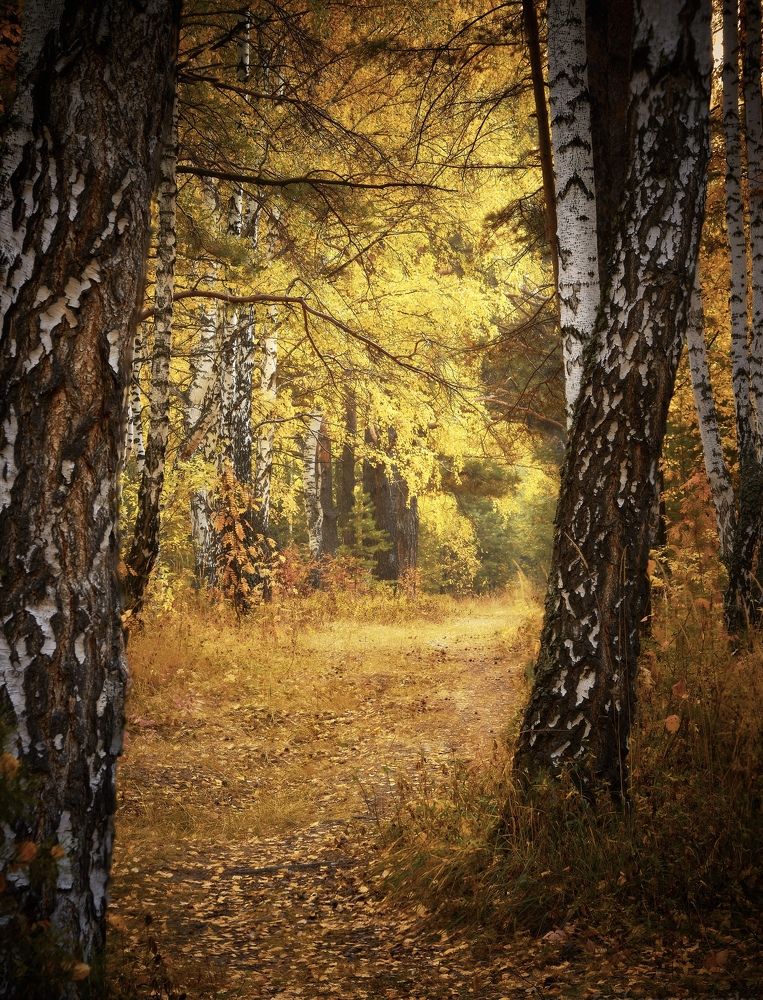 Photograph by Шаньгин Михаил