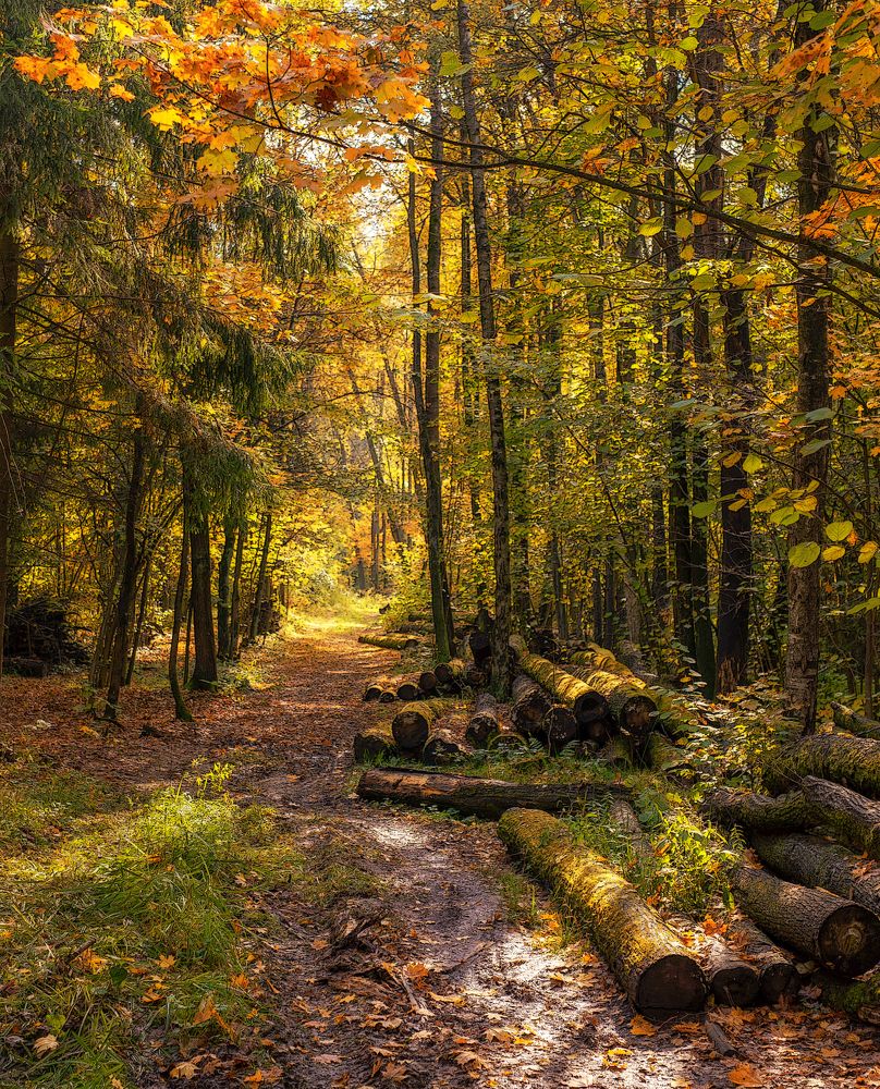 Photograph by Олег Пученков