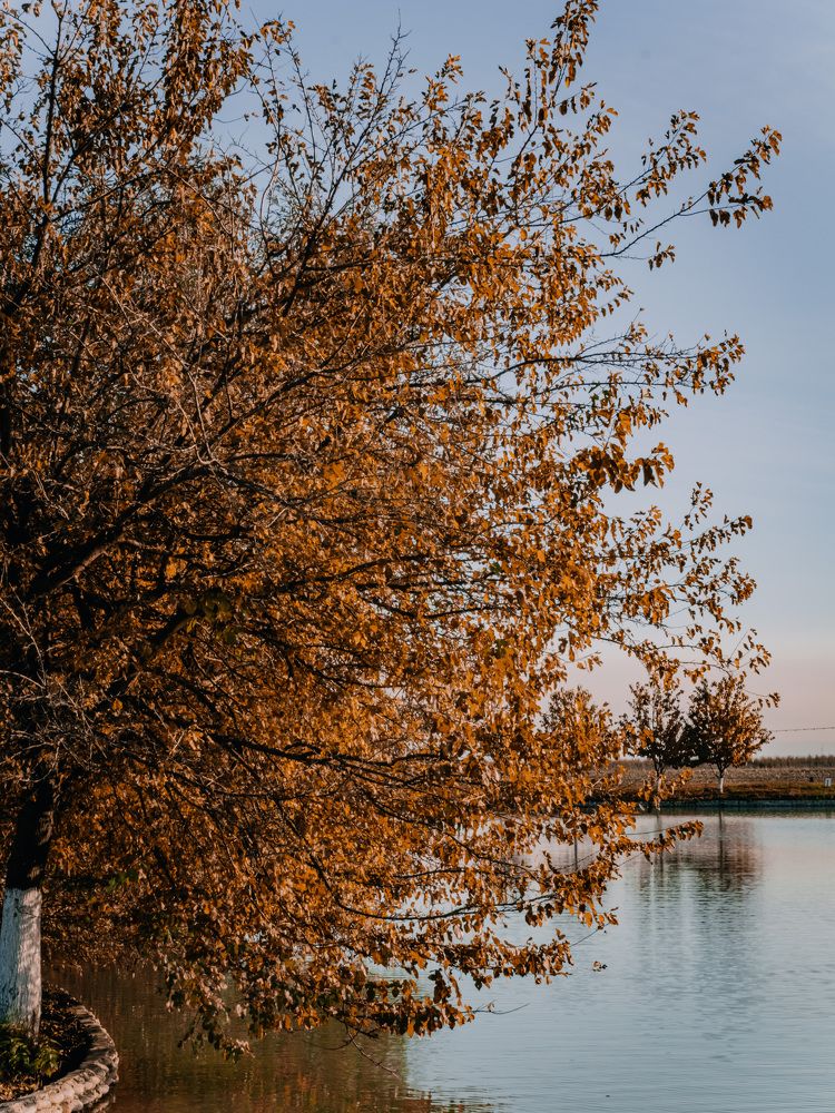 Photograph by Людмила Евстратова