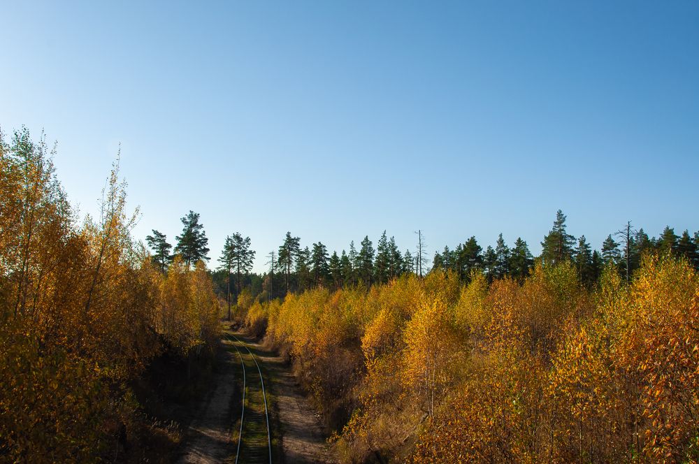 Photograph by Никита