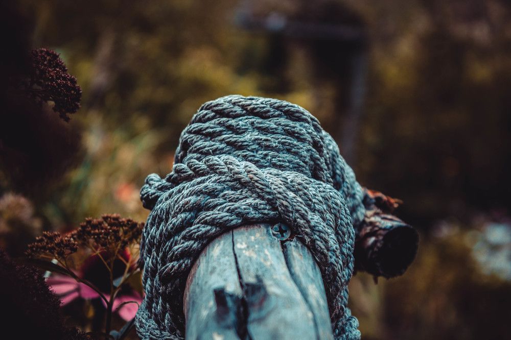 Photograph by Назар Мельничук