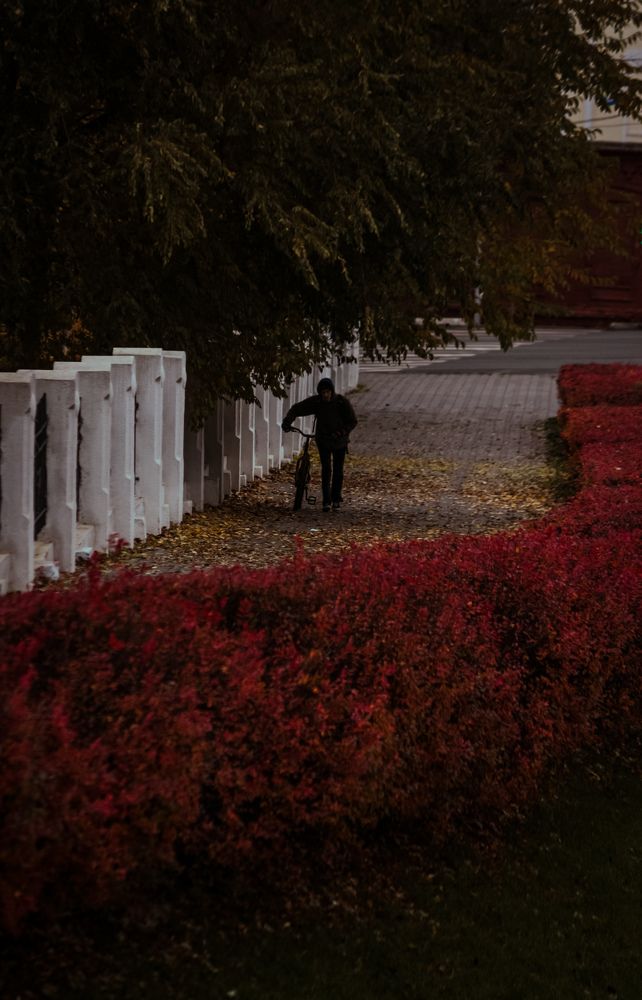 Photograph by Александр Носов