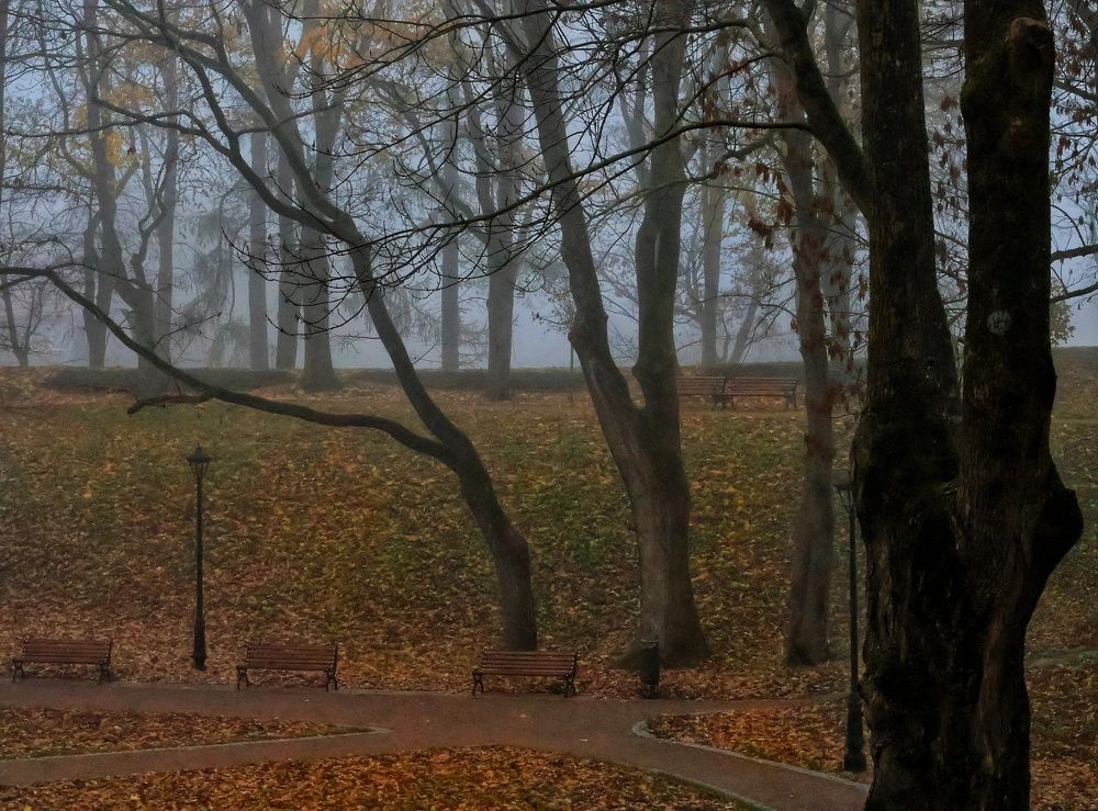 Photograph by Olga Asson