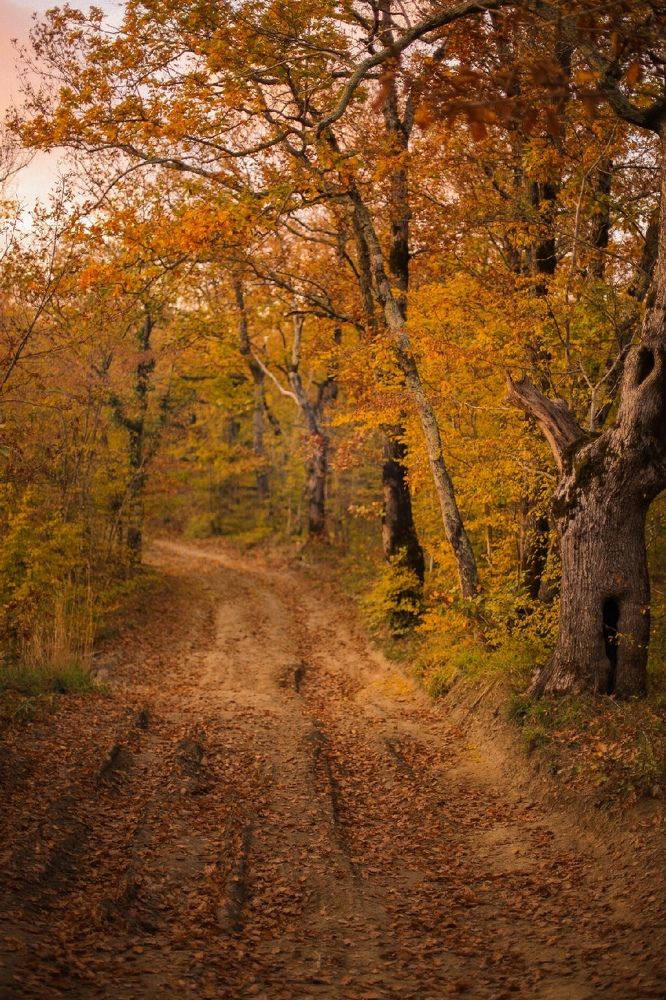 Photograph by Михаил Саидов