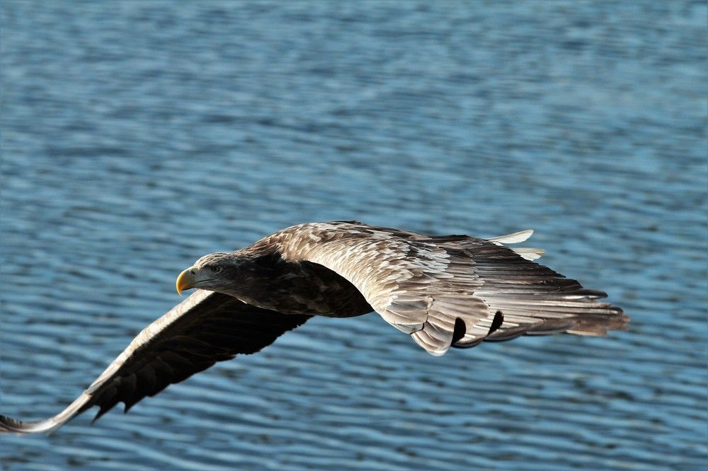 Photograph by Мария Маркина