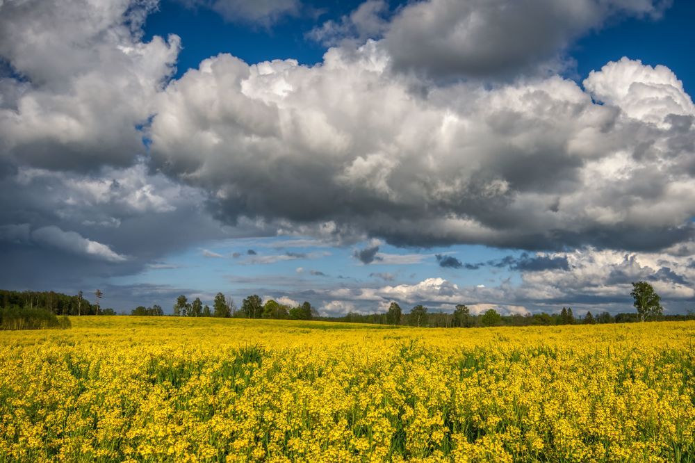 Photograph by Albina Kulikova