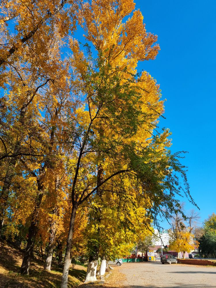 На набережной