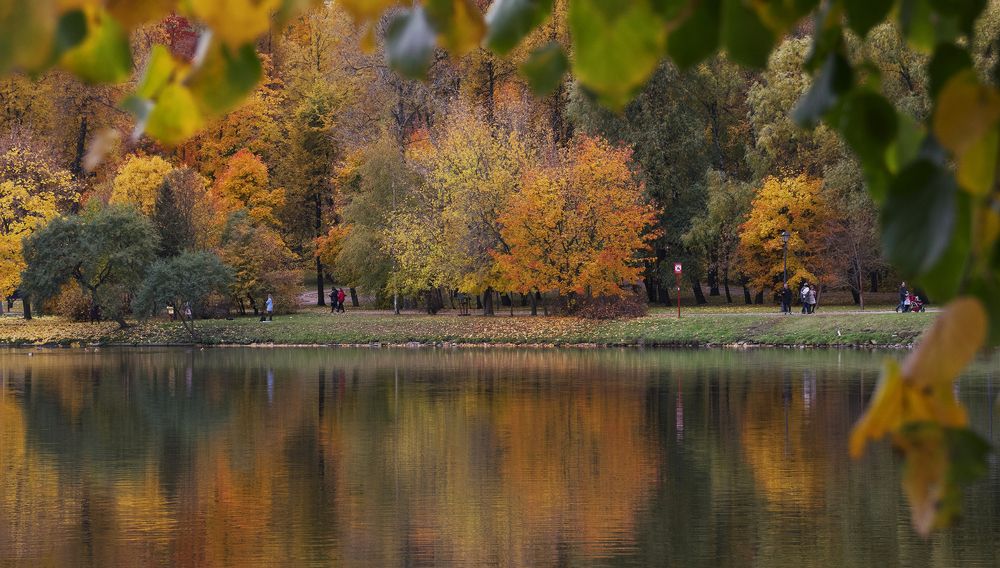 Осень в парке