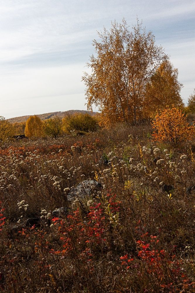 Photograph by Екатерина Першина