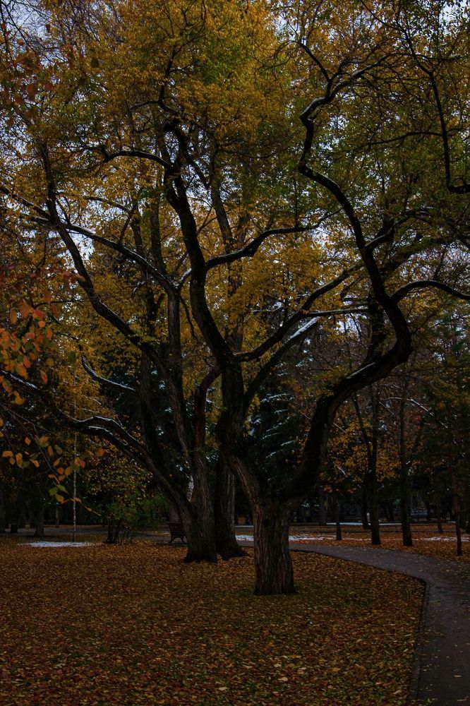 Photograph by Екатерина Першина