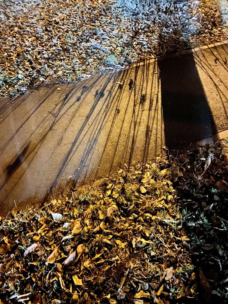 Photograph by Марина Толстопятова