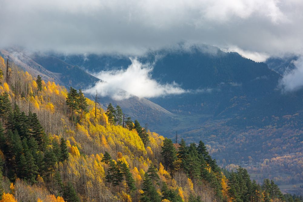 Photograph by Sergey