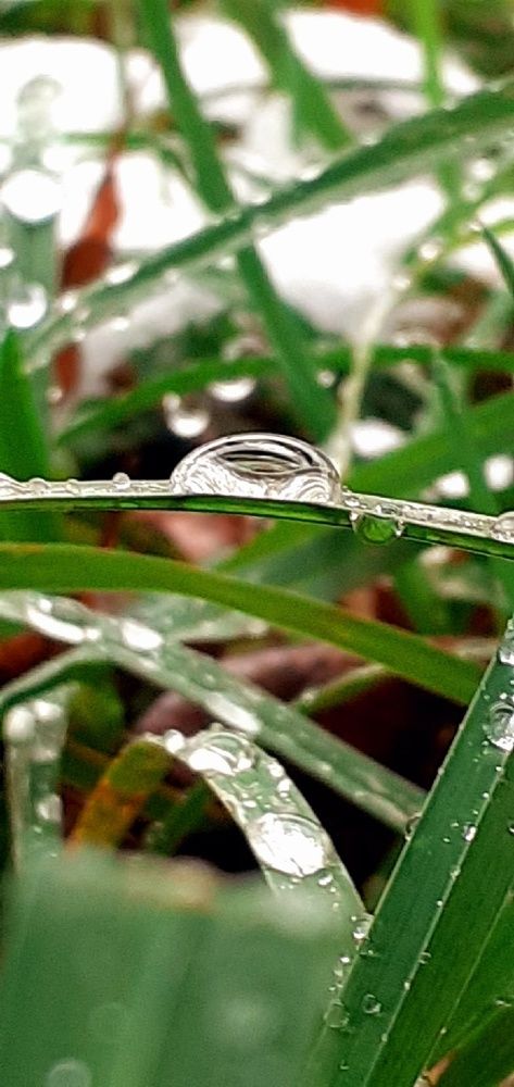 Photograph by Евгения Ульянова