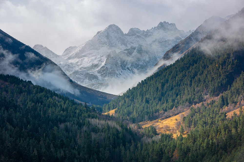 Photograph by Sergey