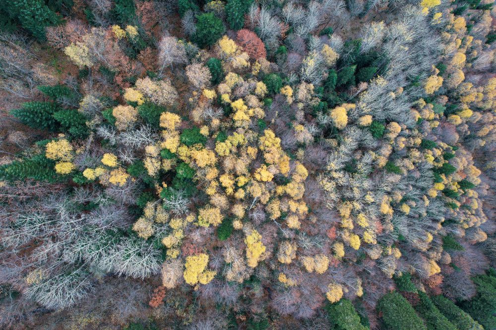 Photograph by Sergey