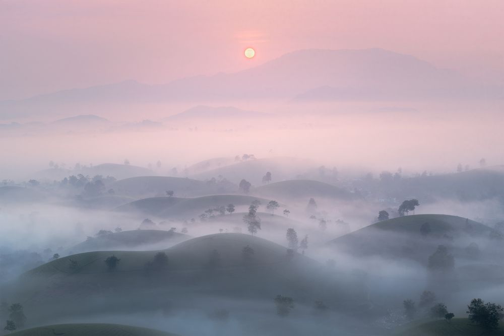 Фотография автора Bảo Nguyễn Gia