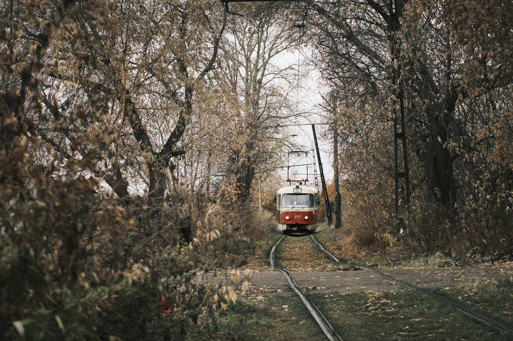 Photograph by Вячеслав Лужецкий
