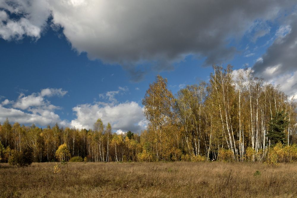 Photograph by Александр Переволоцкий