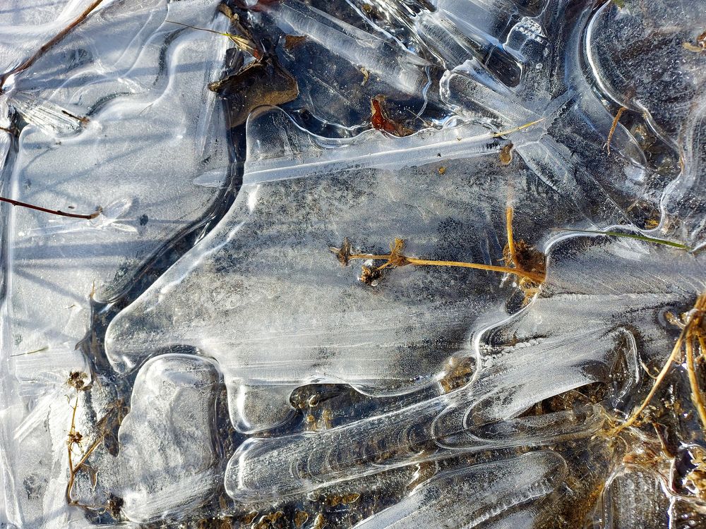 Photograph by Наталья Трифуз