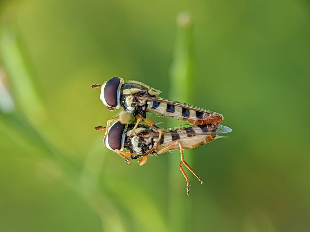 Photograph by Md Raihan