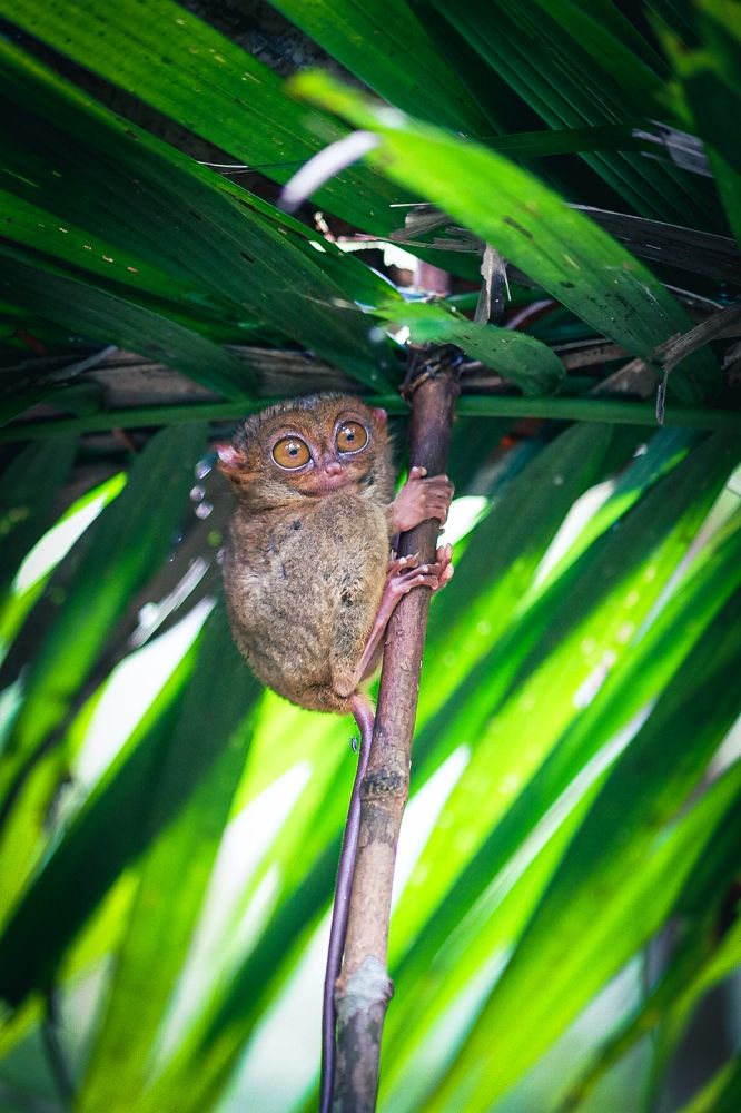 Photograph by Michael Secorata