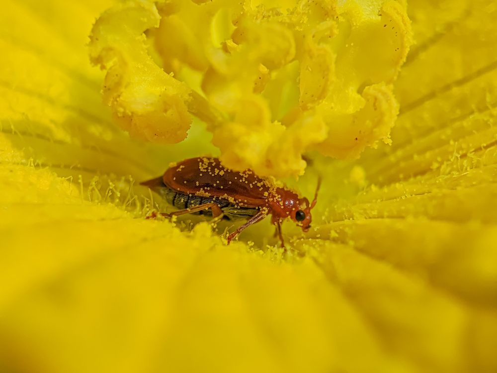 Photograph by Md Raihan