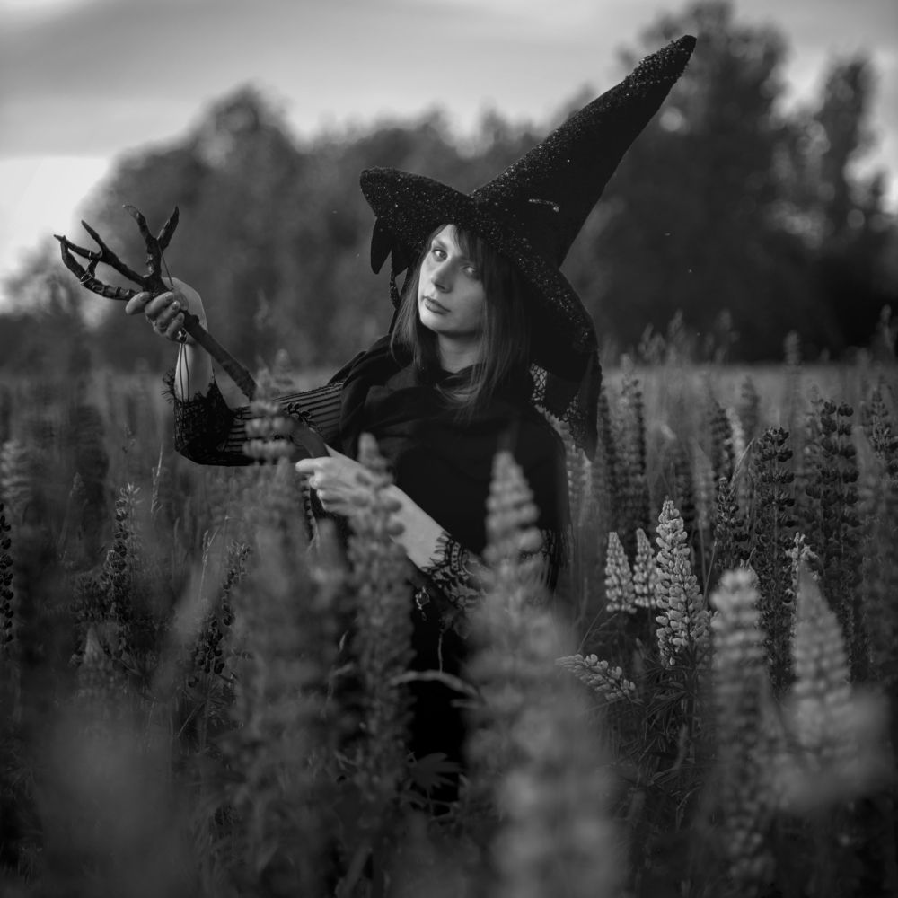 Photograph by Andrew