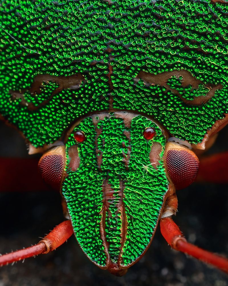 Photograph by Роман Фадеев