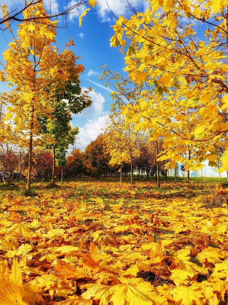 Photograph by Вячеслав Щёголев