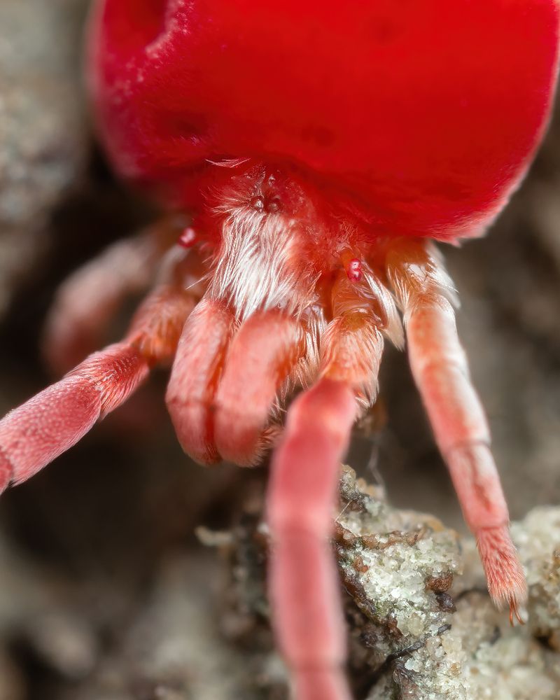 Photograph by Роман Фадеев