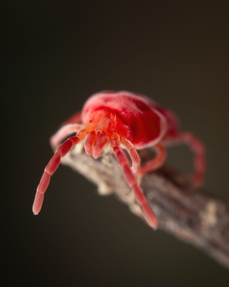 Photograph by Роман Фадеев