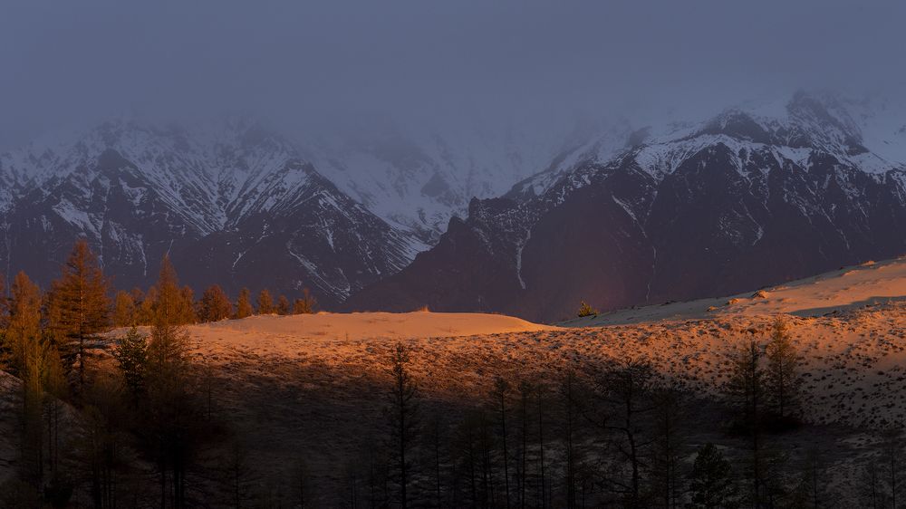 Photograph by Елена Вторушина