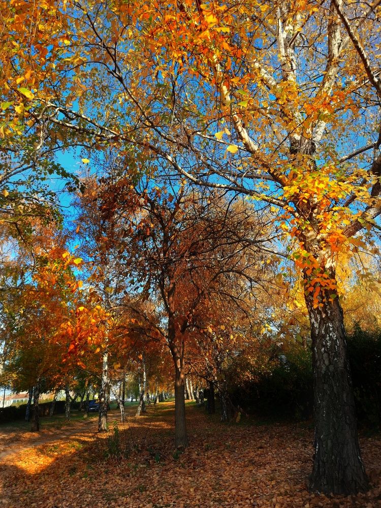 Photograph by Jelena Vasic