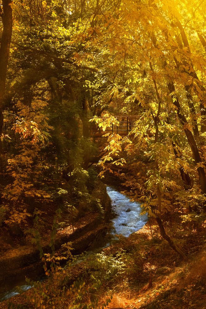 Photograph by Татьяна Колесникова