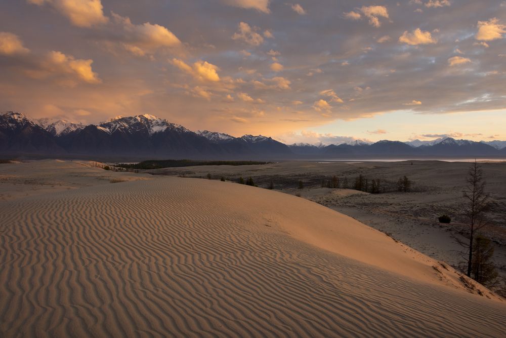 Photograph by Елена Вторушина