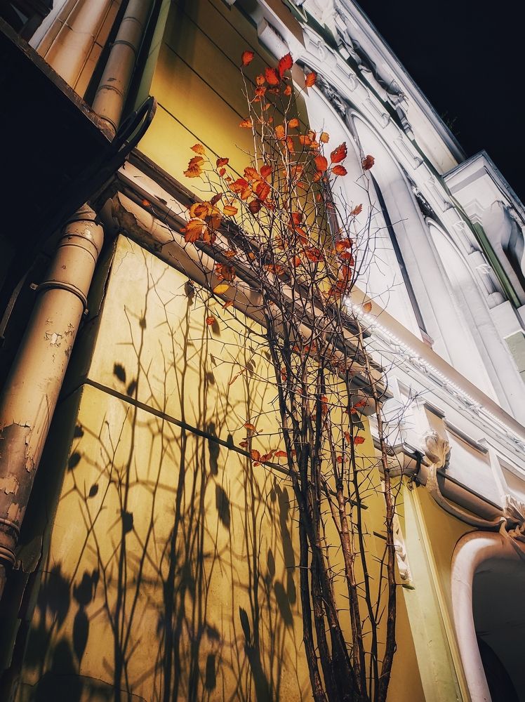 Photograph by Вячеслав Щёголев