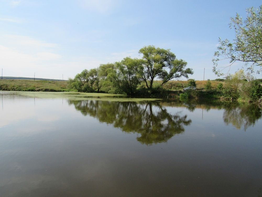 Photograph by Денис Веску