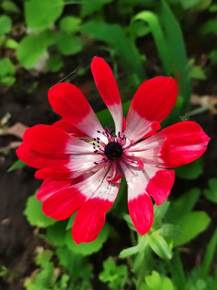 Photograph by Светлана Холодова