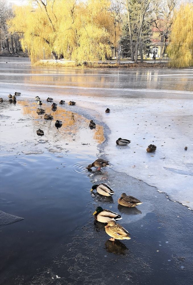 Photograph by Юлия Пацке