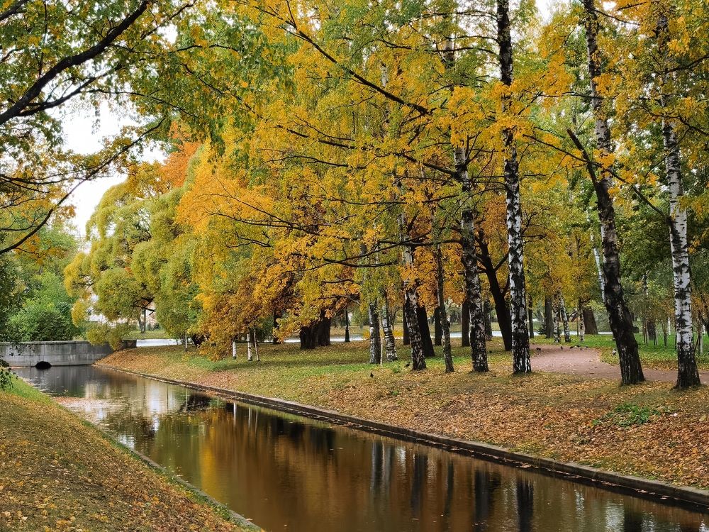 Осенний пейзаж