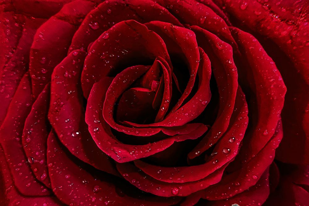 Photograph by Вероника Романенко