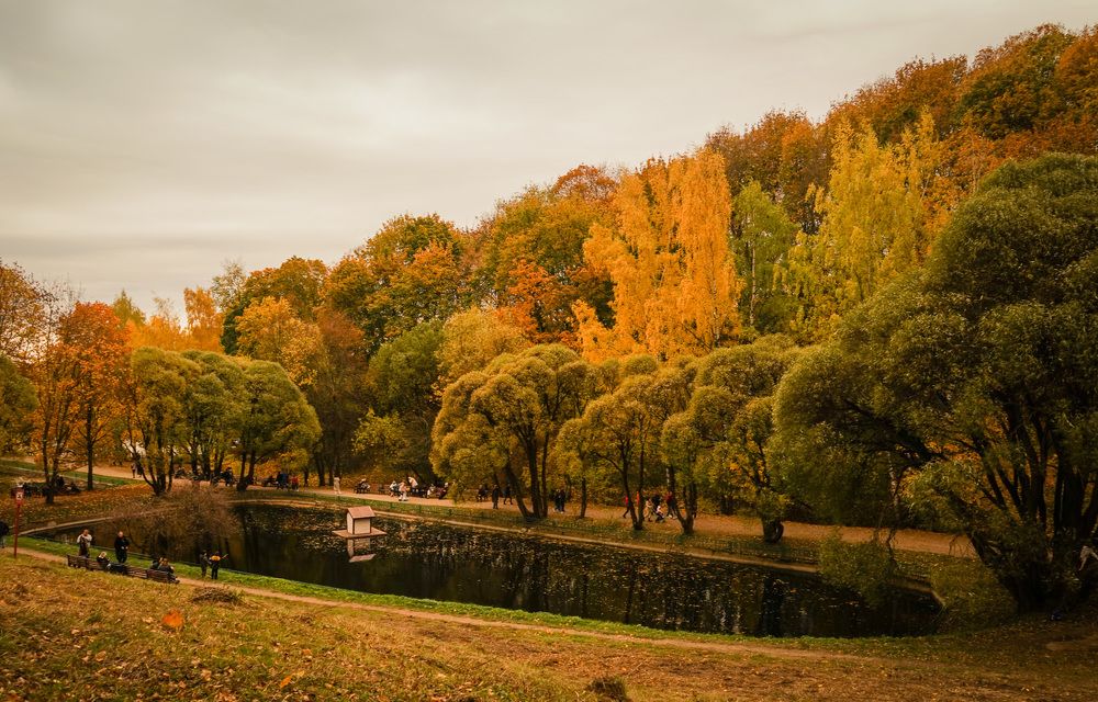Photograph by Галина Бехметьева