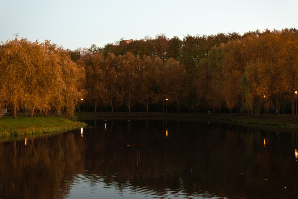 Фотография автора Алёна Подгорная