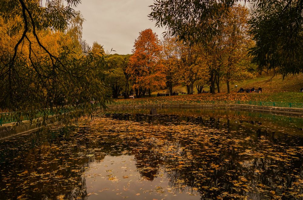 Photograph by Галина Бехметьева