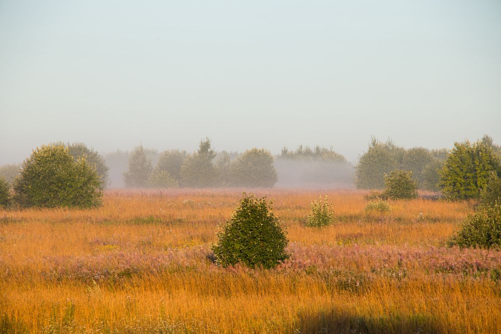 Photograph by Nikita Oshvintsev