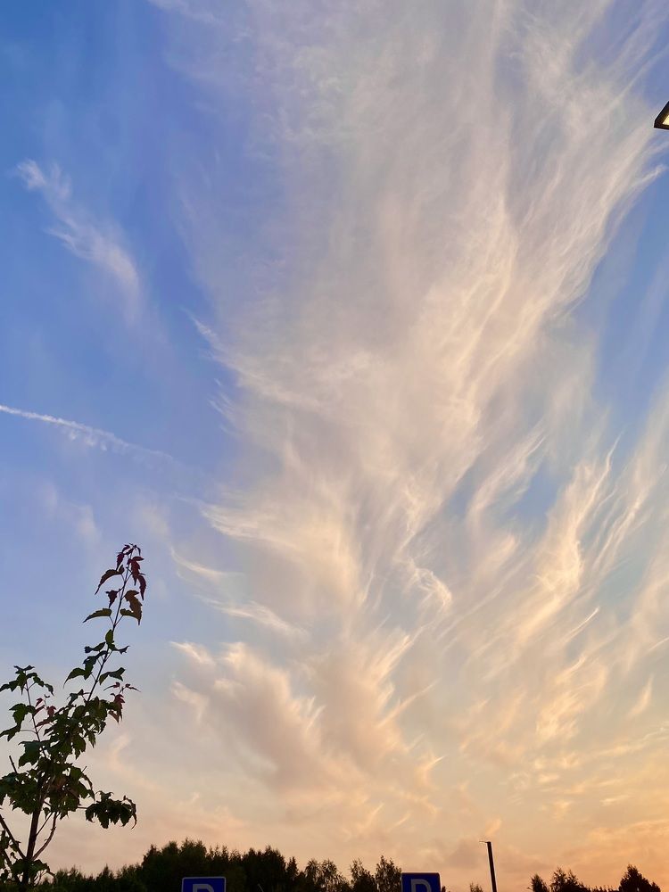 Photograph by Дарья Самойленко