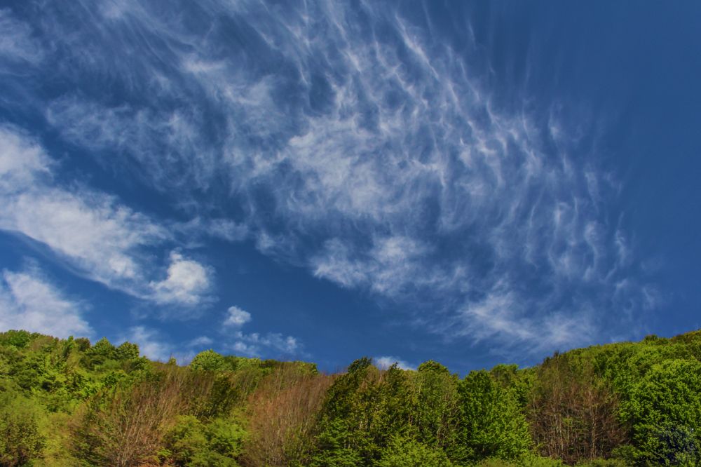 Фотография автора Vahid Basiri